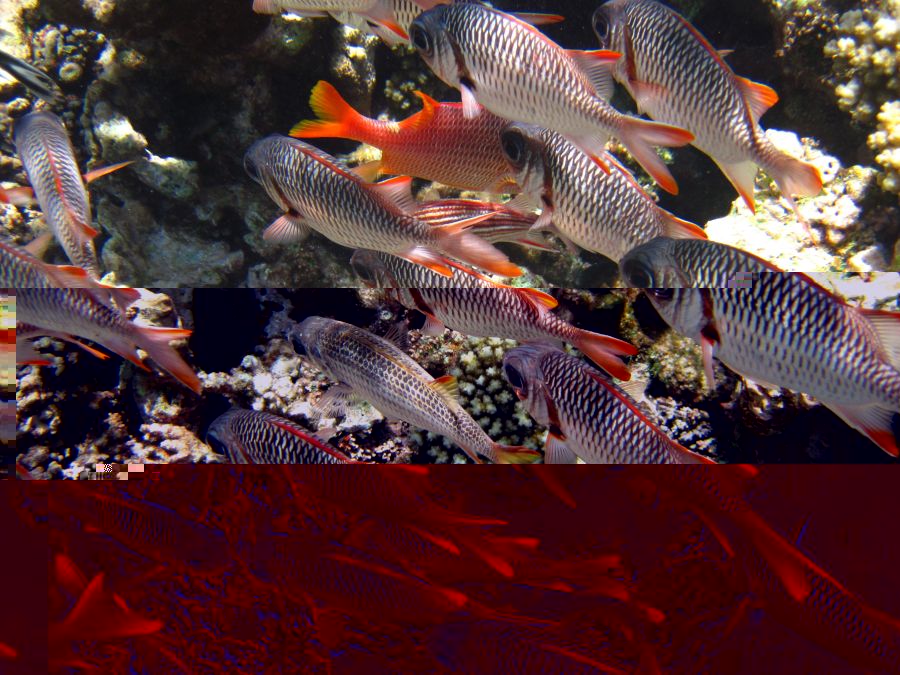 IMG_0475.JPG